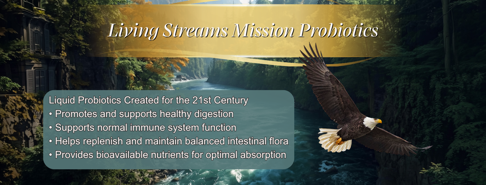 Living Streams Probiotics Natural Health & Wellness Solutions Sales & Specials